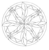 coloriage mandala plumes